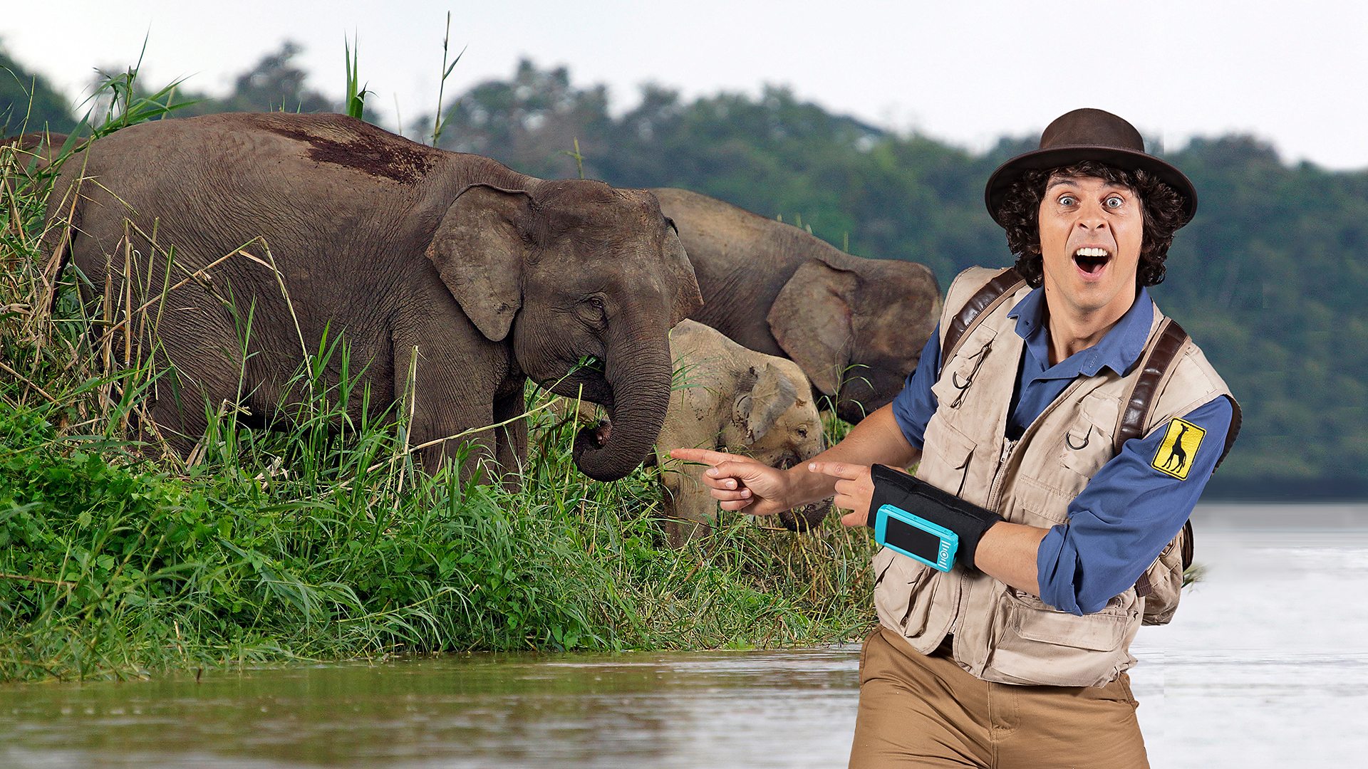 BBC科普英语真人动画Andy's Safari Adventures安迪的旅行冒险野生探险 